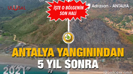 Antalya yangınından 5 yıl sonra: İşte o bölgenin son hali